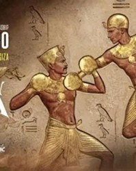 底线尽失！WBC向流量低头，表演赛变世界拳王卫冕战|职业拳击|奥列克桑德尔·乌西克|拳击|跨界|大拿_新浪体育_新浪新闻