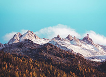 开云网站——让您的数字世界焕发无限可能